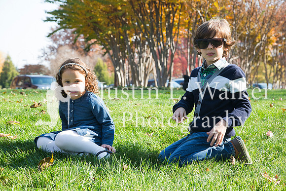 DX025808c