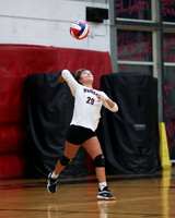 A38I0331