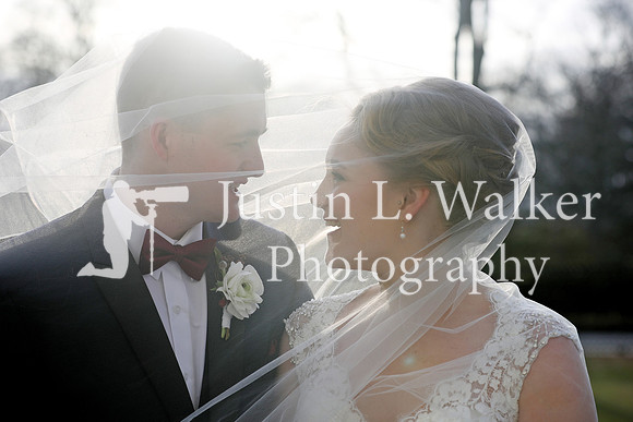 BS1I7703b