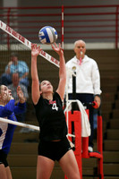 CUA Volleyball 2015
